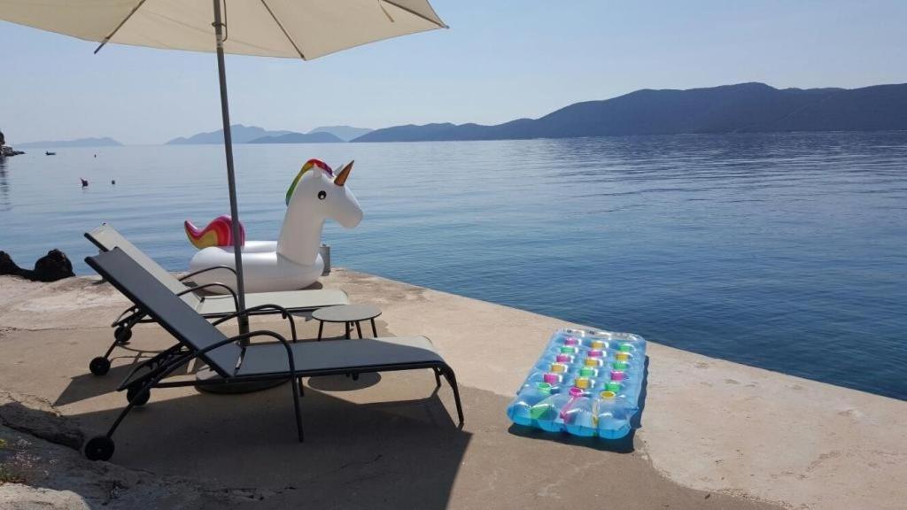 Holiday Home Odiseja Slano Dış mekan fotoğraf